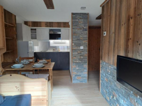 Appartement équipé centre Carroz et garage Arâches-La-Frasse